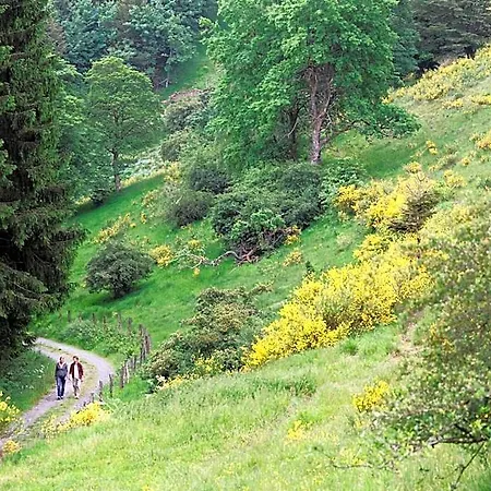 Hochsauerland By Center Parcs Hotel