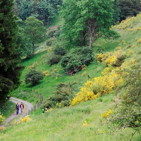 Hochsauerland By Center Parcs فندق ميدهباخ