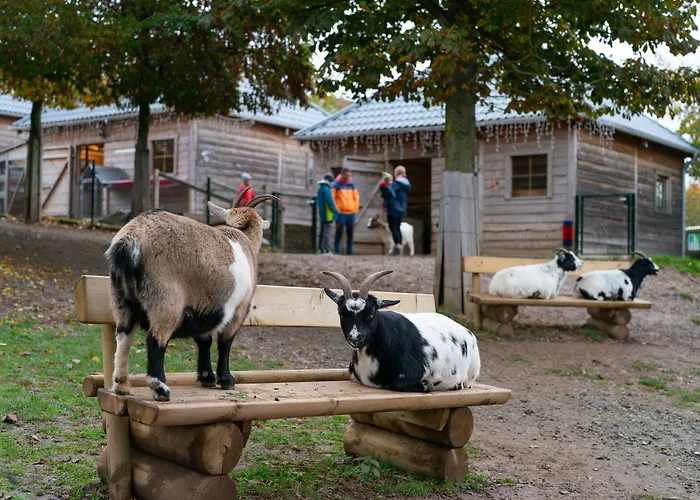 Hotel Hochsauerland By Center Parcs Medebach