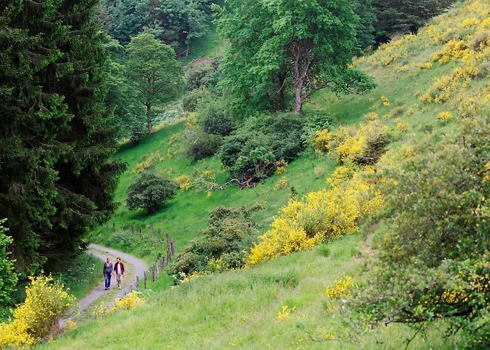 Hochsauerland By Center Parcs Hotel Medebach